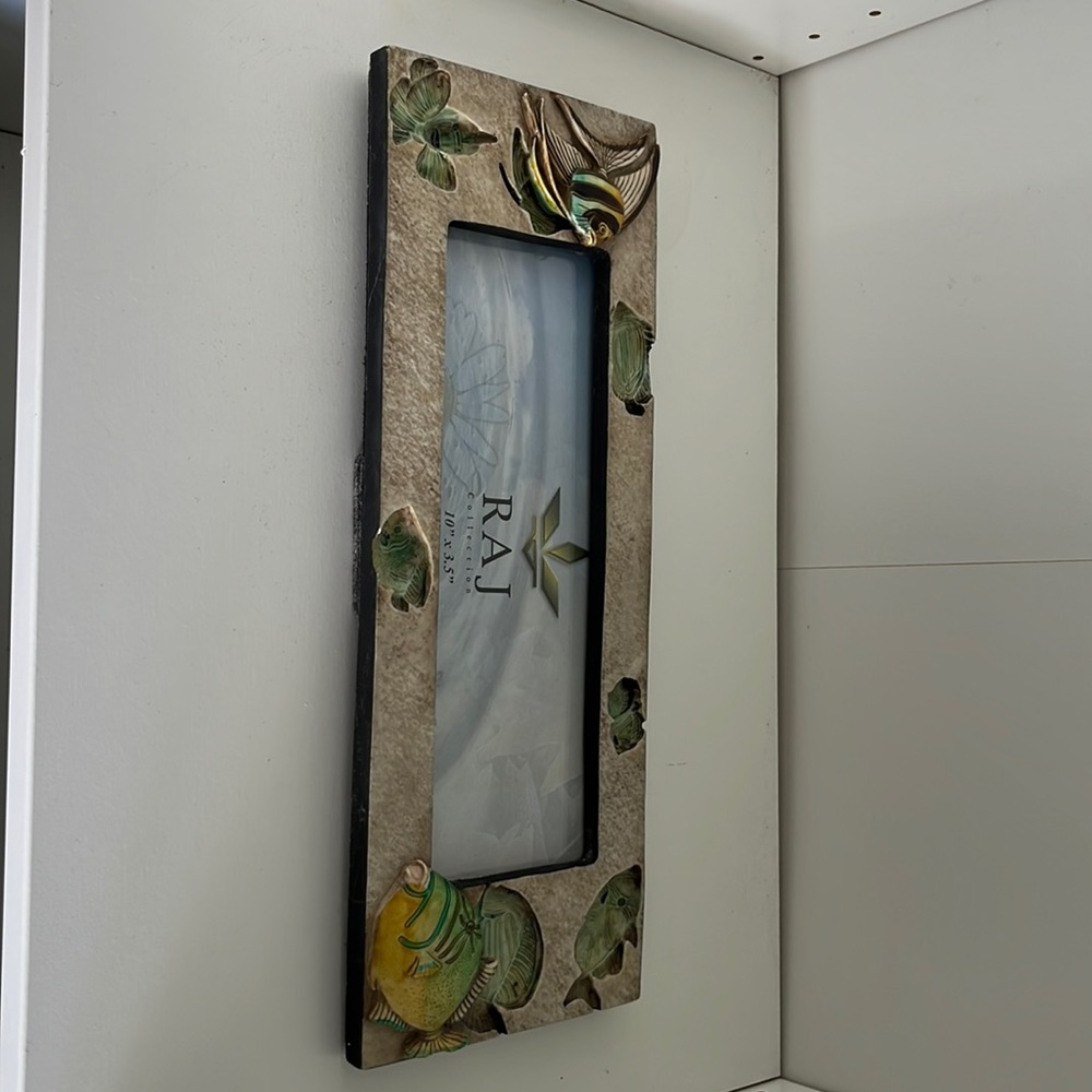 10 x 3.5 fish frame